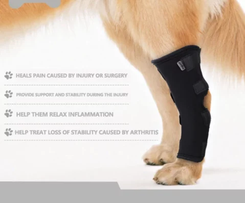 Pet-Knee-Pads-Dog-Support-Brace-For-Leg-Injury-Recover-Hock-Joint-Wrap-Breathable-Dog-Legs.jpg_Q90.jpg_
