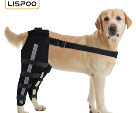 dog_acl_braces_fix_joint_damage_knee_braces_for_dogs_188DC397F6219