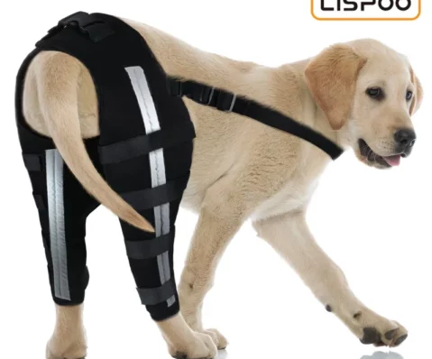 dog_acl_braces_fix_joint_damage_knee_braces_for_dogs_188DC39801916